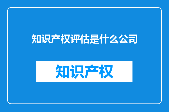 知识产权评估是什么公司