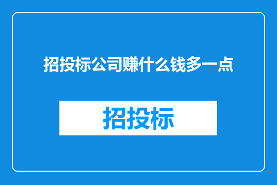 招投标公司赚什么钱多一点