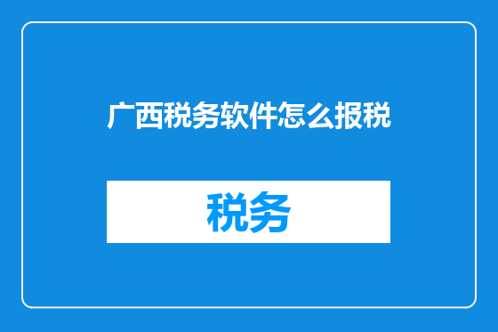 广西税务软件怎么报税