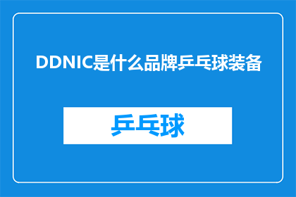 DDNIC是什么品牌乒乓球装备