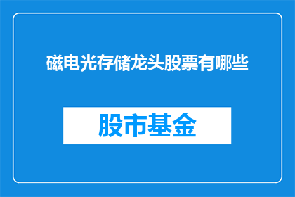 磁电光存储龙头股票有哪些(哪些股票是磁电光存储领域的领军企业？)