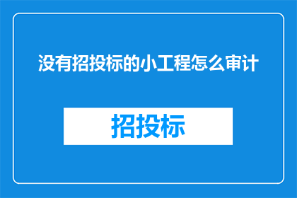没有招投标的小工程怎么审计(如何对未进行公开招标的小工程进行审计？)